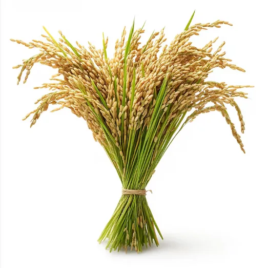 ধান