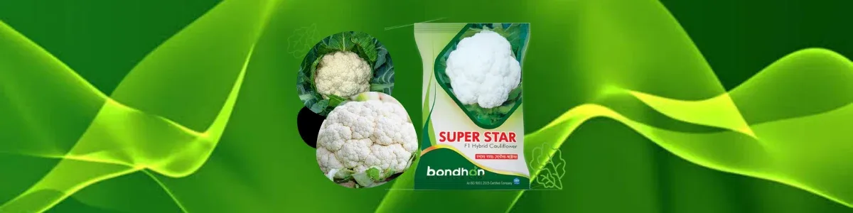 নিকটস্থ ডিলার খুঁজুন